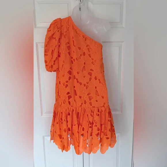 Zac Posen Dress Mini Floral Embroidered One-Shoulder Apricot Dress Size 4 - Picture 5 of 16